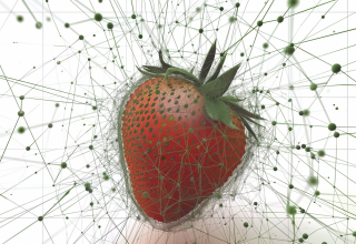 OpenAI’nin Yeni YZ Aracı İnternette Araştırma Yapabilecek: İşte Strawberry Projesi